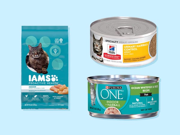 649af0e46eb0a800194d51d0?width=600&format=jpeg&auto=webp