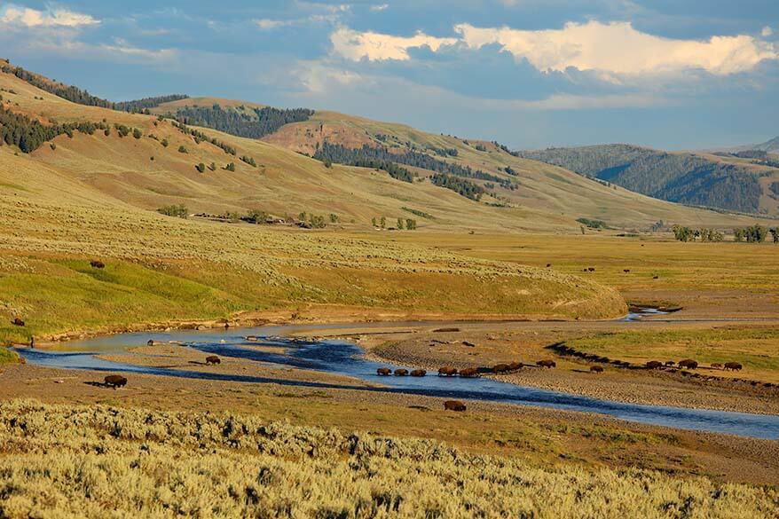 Lamar Valley