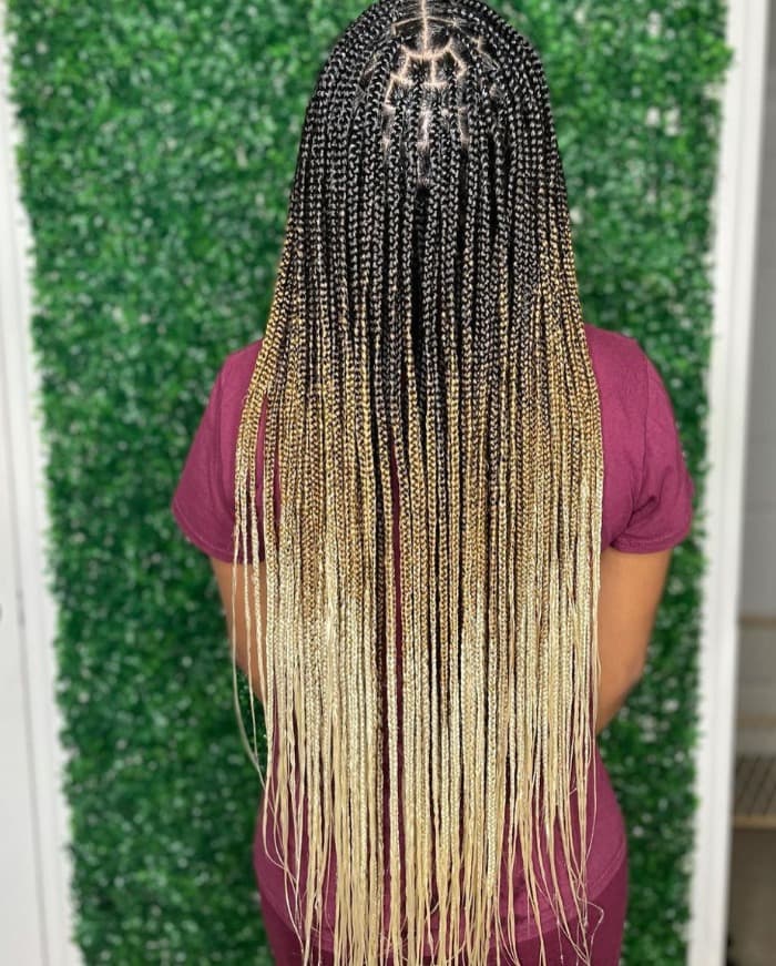 Ombre Knotless Braids