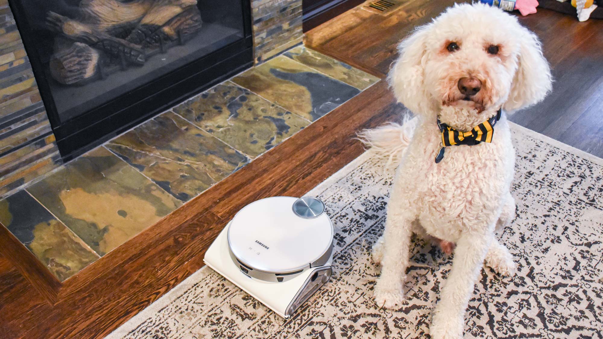 Samsung JetBot AI in action on floors