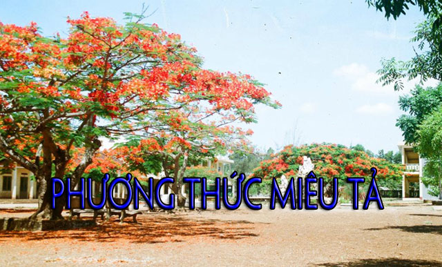 xác Äá»nh phương thức biá»u Äạt